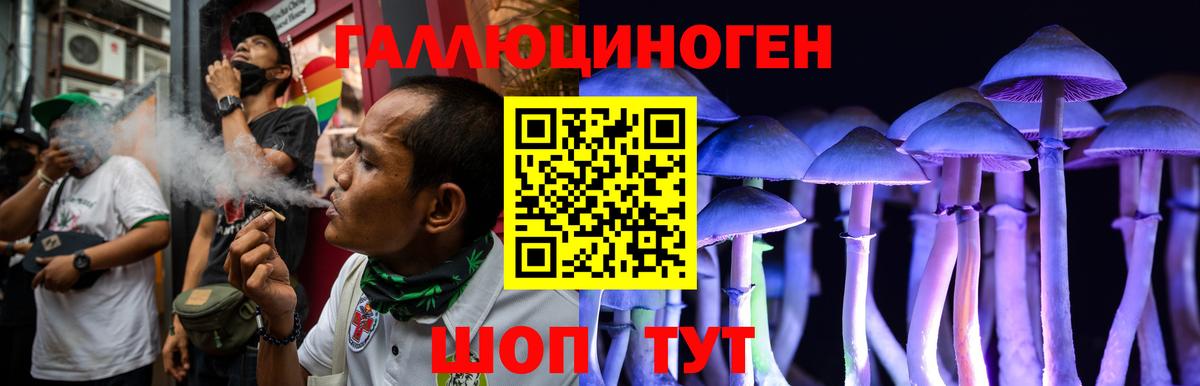 Углич  Псилоцибиновые грибы Psilocybe  Галлюциногенные грибы мицелий  Вход с VPN 